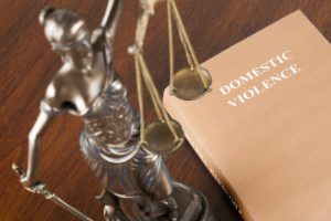 domestic-violence-laws-book
